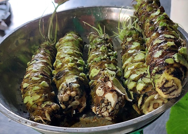 Trồng cây wasabi, anh nông dân ở Đà Lạt nhổ củ bán 6 triệu đồng/kg-2