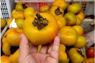 3 loại trái cây cần tránh ăn trong kỳ kinh nguyệt