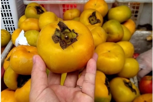 3 loại trái cây cần tránh ăn trong kỳ kinh nguyệt-2