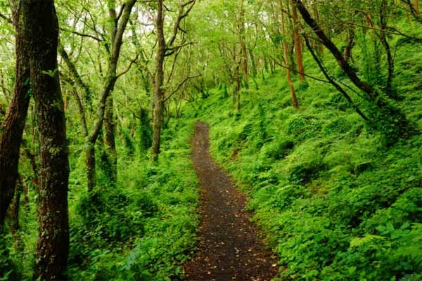 Trắc nghiệm: Con đường bạn chọn sẽ tiết lộ những đặc điểm tính cách của bản thân-2