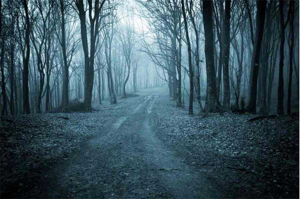 Trắc nghiệm: Con đường bạn chọn sẽ tiết lộ những đặc điểm tính cách của bản thân-7