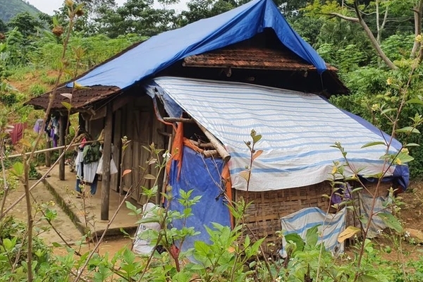 Sau sự việc nữ sinh lớp 7 mang thai và tự sinh con: Bắc Giang ra văn bản gấp-3