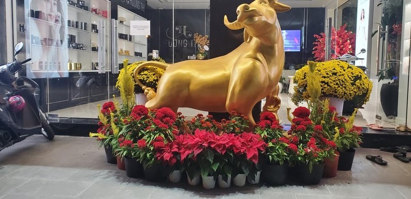 Việt Hương được chồng tặng cơ ngơi khủng, hé lộ dự định quan trọng trong tương lai-7