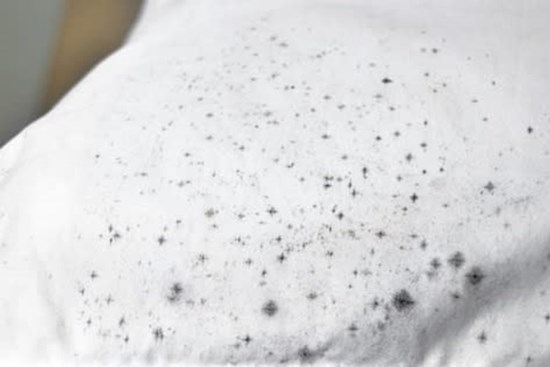 Trời nồm ẩm khiến quần áo bị mốc, đem ngâm với thứ này lại sạch trắng tinh như mới