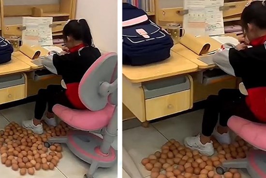 Đặt hàng chục trái trứng quanh chân để con gái tập trung học bài