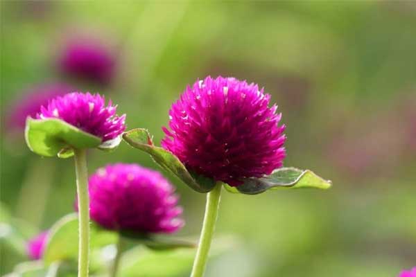 Ai sinh ngày Âm lịch này không chịu thua kém, âm thầm nỗ lực, năm nay không nghèo-4