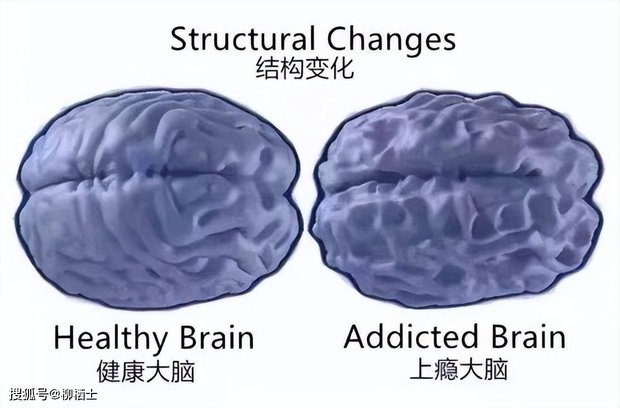 Kẻ thù lớn nhất của giáo dục gia đình là gì? 15 năm trước là tivi, sau đó đến game, còn bây giờ?-1