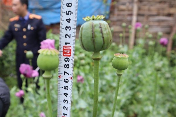 Từ chiều tối nay miền Bắc đón mưa dông-2