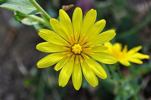 Người có giờ sinh này khiêm tốn làm việc, chăm chỉ kiếm tiền, mọi sự viên mãn-3