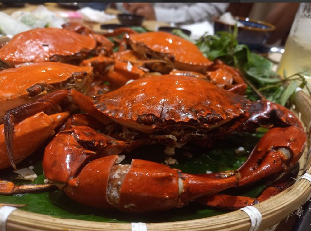 1.000 đồng/kg, cam sành vị ngọt thành trái đắng-1