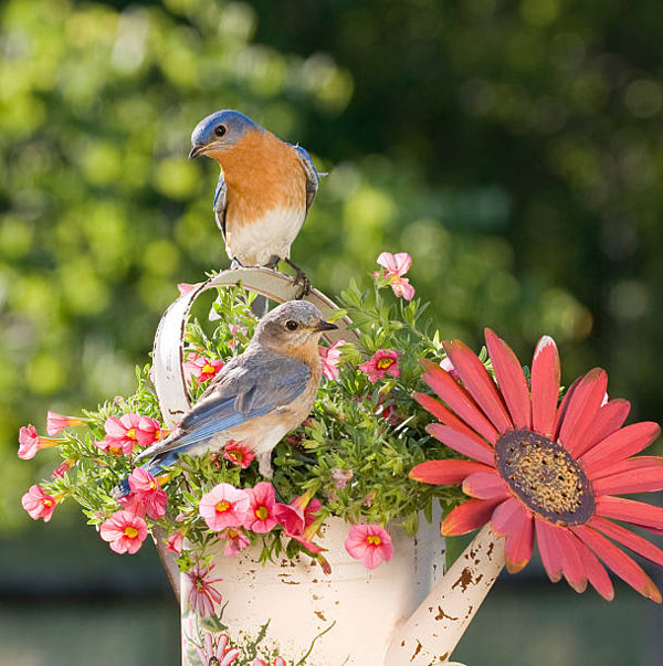 Vượng vận quý nhân 4 con giáp tháng 2 mất ít tiền, tháng 3 khởi sắc, cuộc sống chuyển biến tốt đẹp-1