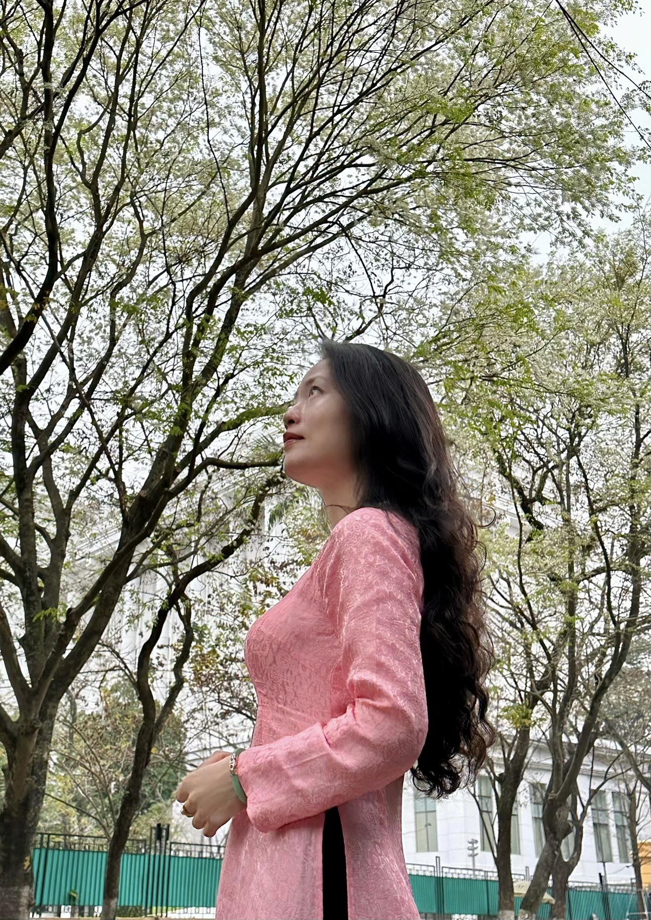 Hà Nội: Người dân thích thú chụp ảnh mùa hoa sưa nở trắng trời-3