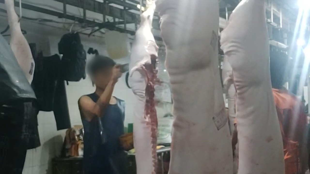 Dối trá trong kiểm soát giết mổ heo ở Long An-5