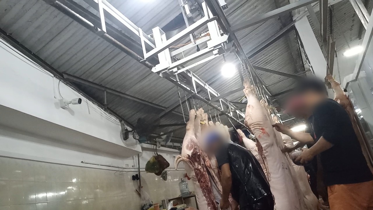 Dối trá trong kiểm soát giết mổ heo ở Long An-6