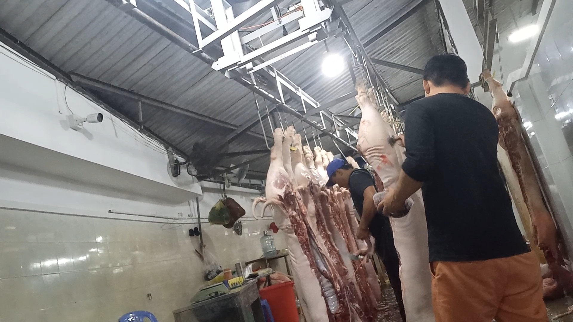 Dối trá trong kiểm soát giết mổ heo ở Long An-7