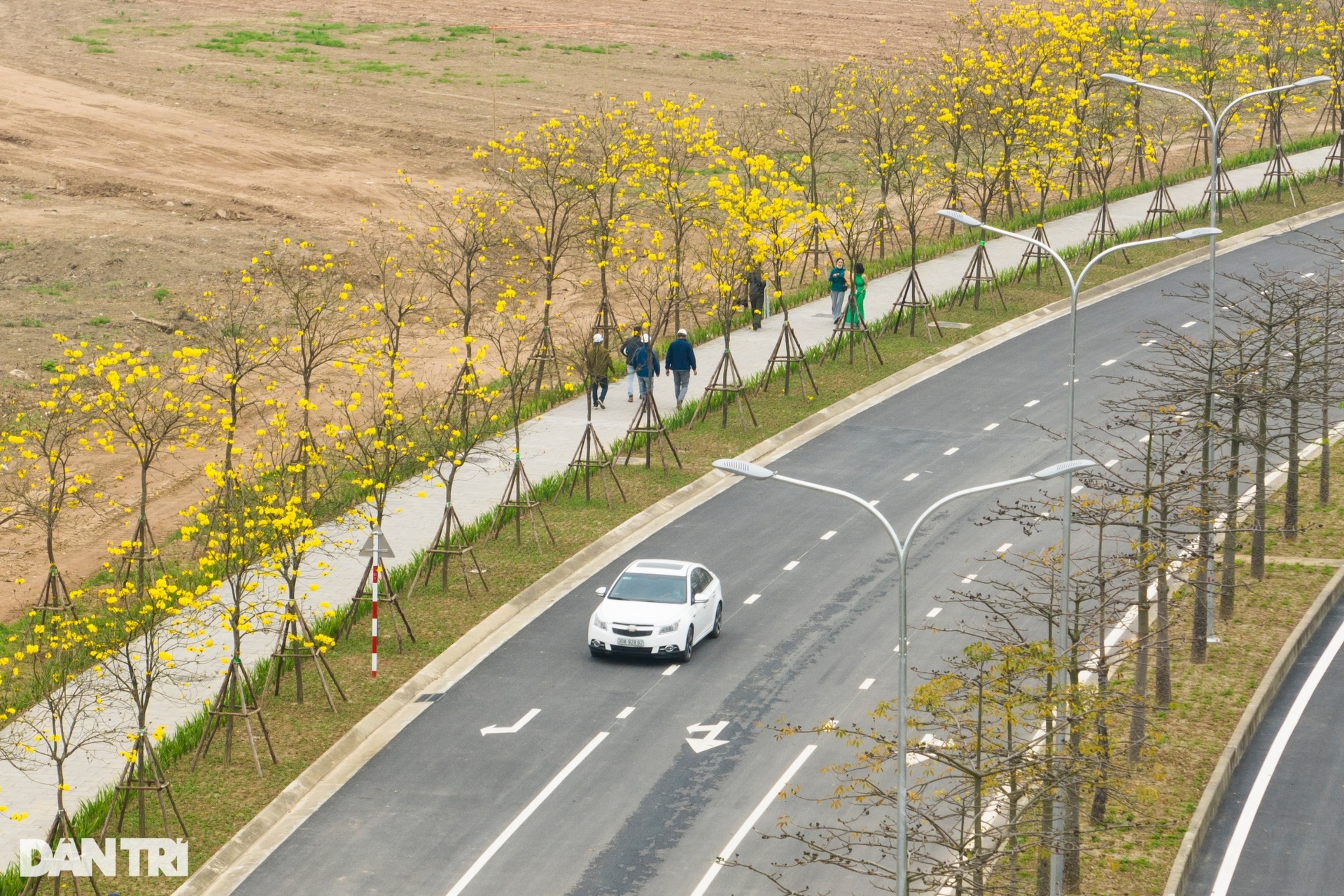 Cung đường hoa vàng nổi nhất Hà Nội thu hút đông người chụp ảnh, check-in-2