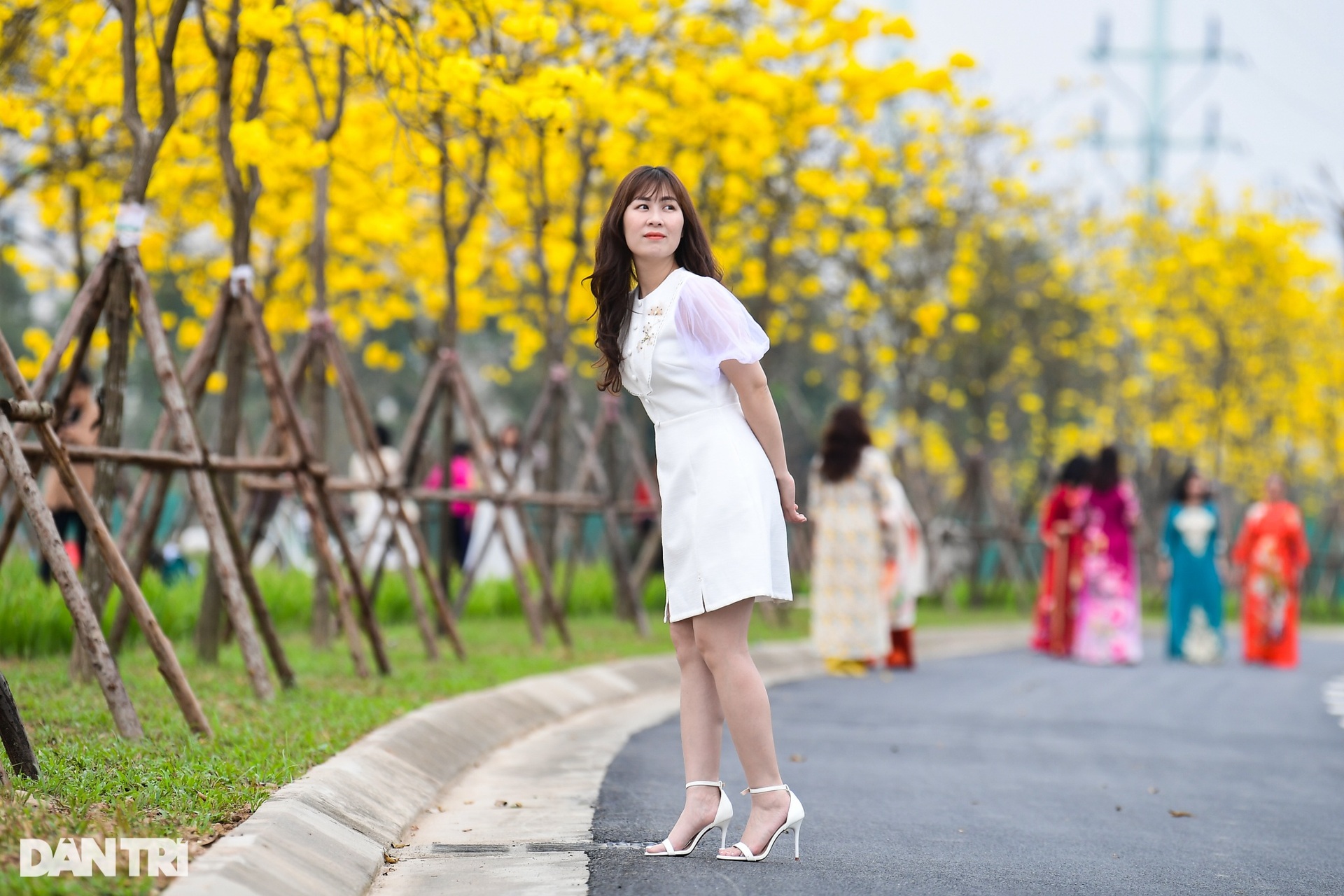 Cung đường hoa vàng nổi nhất Hà Nội thu hút đông người chụp ảnh, check-in-6