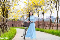 Cung đường hoa vàng nổi nhất Hà Nội thu hút đông người chụp ảnh, check-in