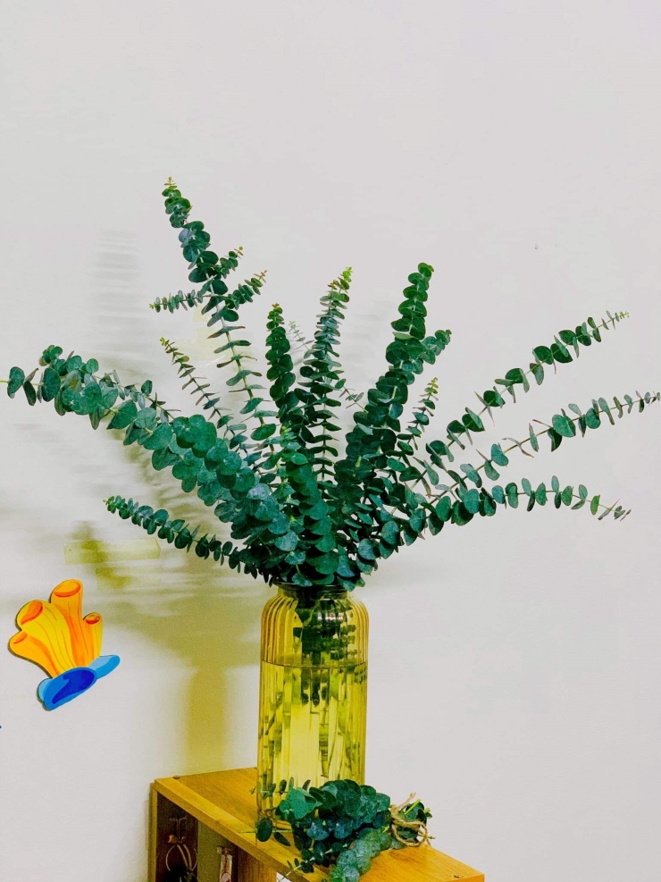 Loại lá không thể ăn gây sốt” thị trường, dân buôn ngày bán hàng trăm bó-2