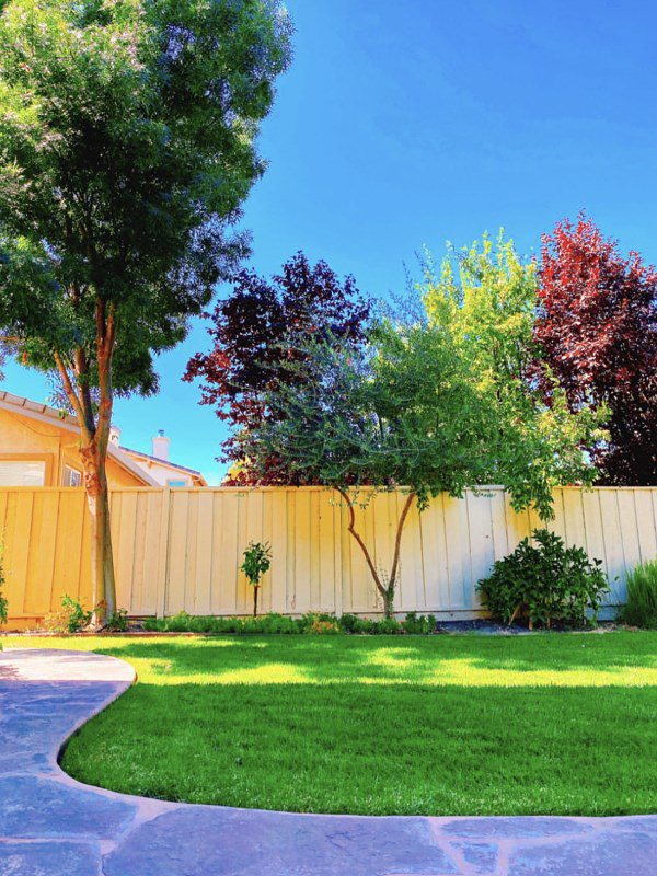 Cận cảnh biệt thự bạc tỷ giữa trời Tây mới được chồng tặng của hoa hậu số hưởng nhất showbiz Việt-22