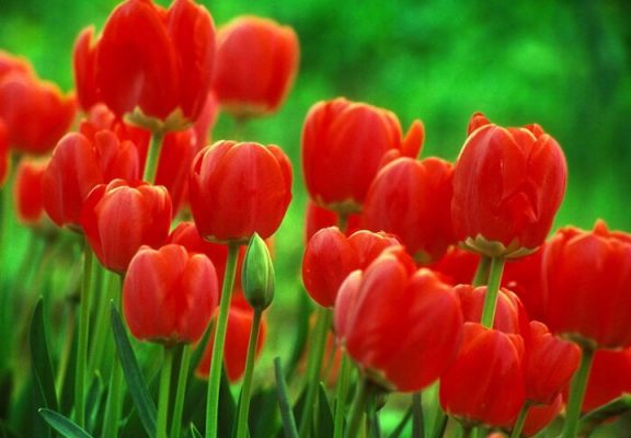 Sinh vào 3 tháng Âm lịch này, hưởng trọn may mắn, phúc lộc, về già an nhàn vô lo-1