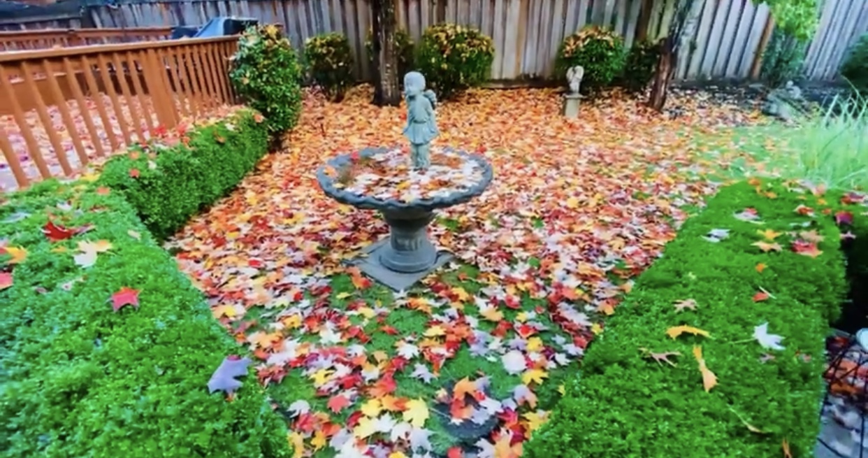 Vì một lời đồn mà ca sĩ Mạnh Quỳnh hiếm hoi khoe biệt thự đang ở, vọng lâu giữa sân gây chú ý-5