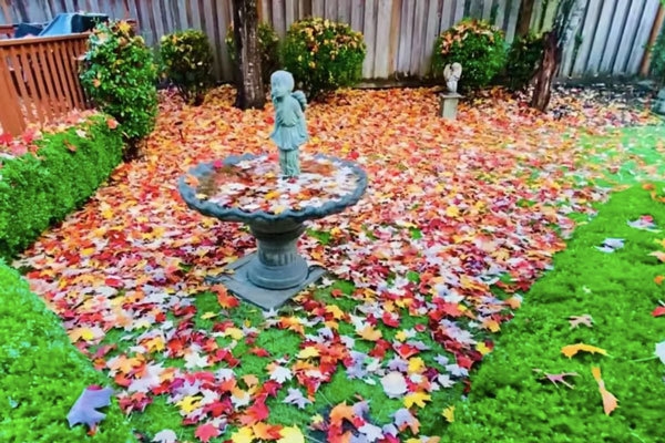 Vì một lời đồn mà ca sĩ Mạnh Quỳnh hiếm hoi khoe biệt thự đang ở, vọng lâu giữa sân gây chú ý-6