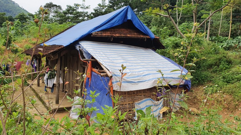 Sau vụ bé gái 11 tuổi ở Phú Thọ sinh con: Cha mẹ đừng đổ lỗi vì mưu sinh-1