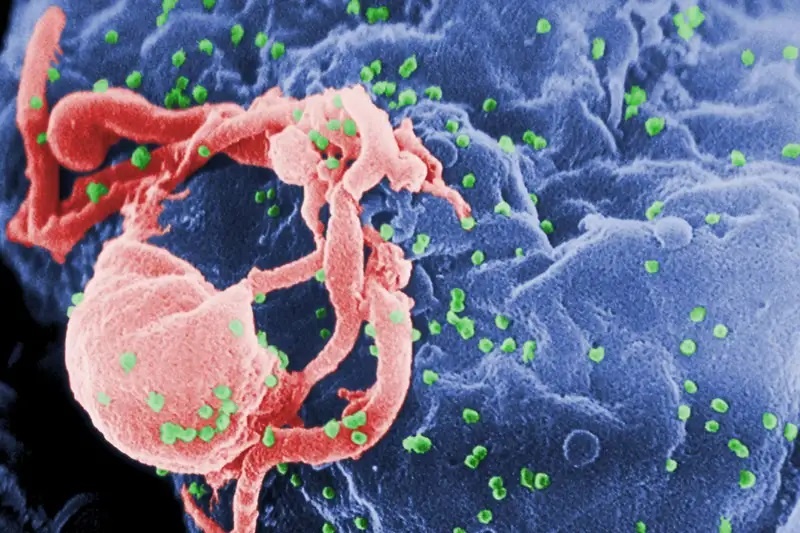 Người thứ ba được chữa khỏi HIV-1