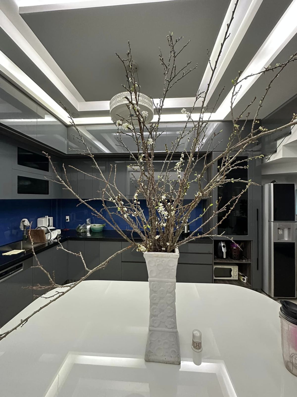 Cơ ngơi 50 tỷ đồng của ca sĩ được mệnh danh ông hoàng bất động sản-7