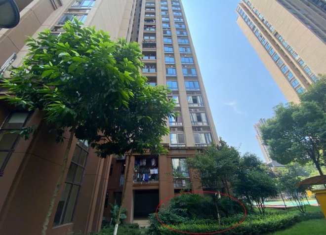 Từ chuyện cha cùng nhân tình hợp sức sát hại 2 con, gia đình không hạnh phúc gây tổn thương đến trẻ như thế nào?-2