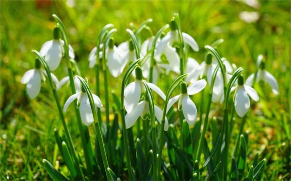 Năm 2023, 3 con giáp chậm mà chắc, không ngừng vươn lên, tài lộc tứ phương đổ về-2