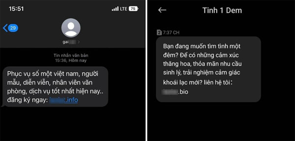 Vì sao nhiều người dùng nhận được tin nhắn Tình 1 đêm-2