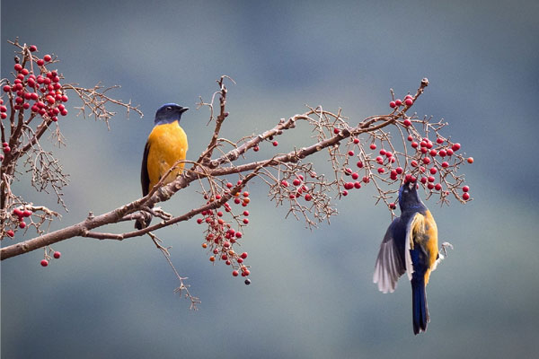 Tử vi ngày 22/2/2023: Tuổi Dần rộng lượng giúp người, tuổi Ngọ dễ bị chơi xấu-4