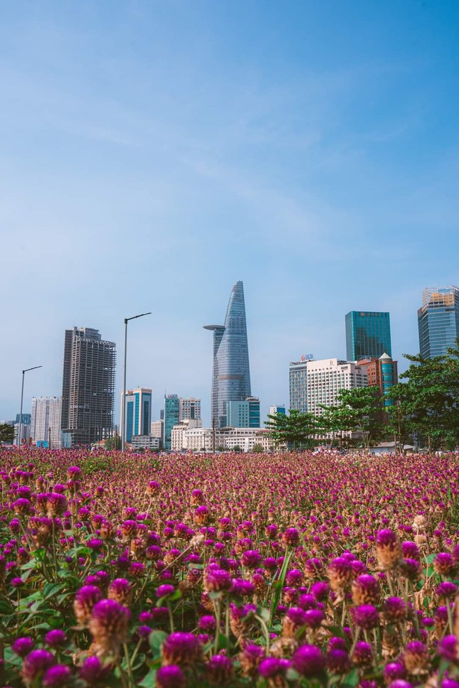 Giới trẻ TP.HCM rộn ràng rủ nhau check-in cánh đồng hoa tím mộng mơ-1