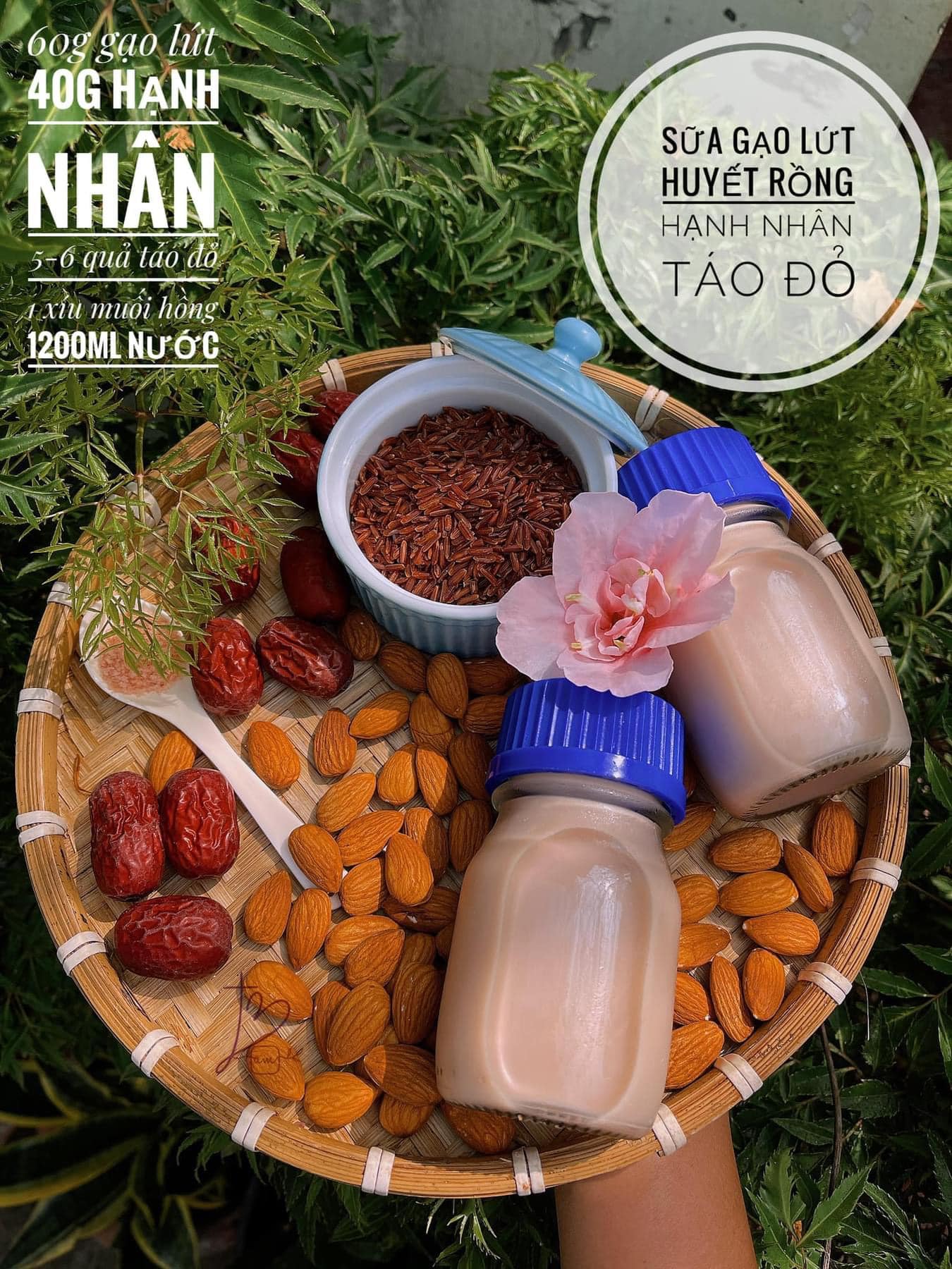 Mẹ khéo tay tự làm 8 loại sữa hạt tại nhà cho bé khỏe mạnh, thông minh, mới 28 tháng tuổi đã biết nói cảm ơn mẹ-8