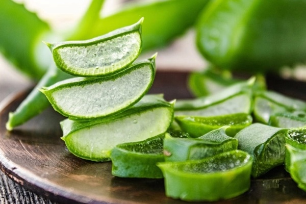 Nha đam giúp giảm cân, dùng sai có thể gây độc-1