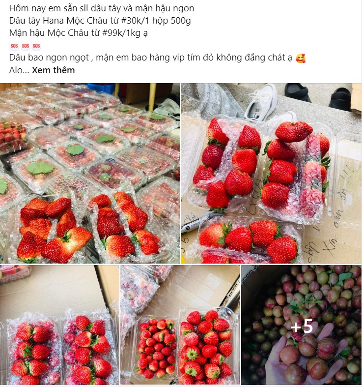 Dâu tây giá rẻ đổ bộ các chợ, chỉ từ 60.000 đồng/kg, dân buôn mỏi tay chốt đơn-1