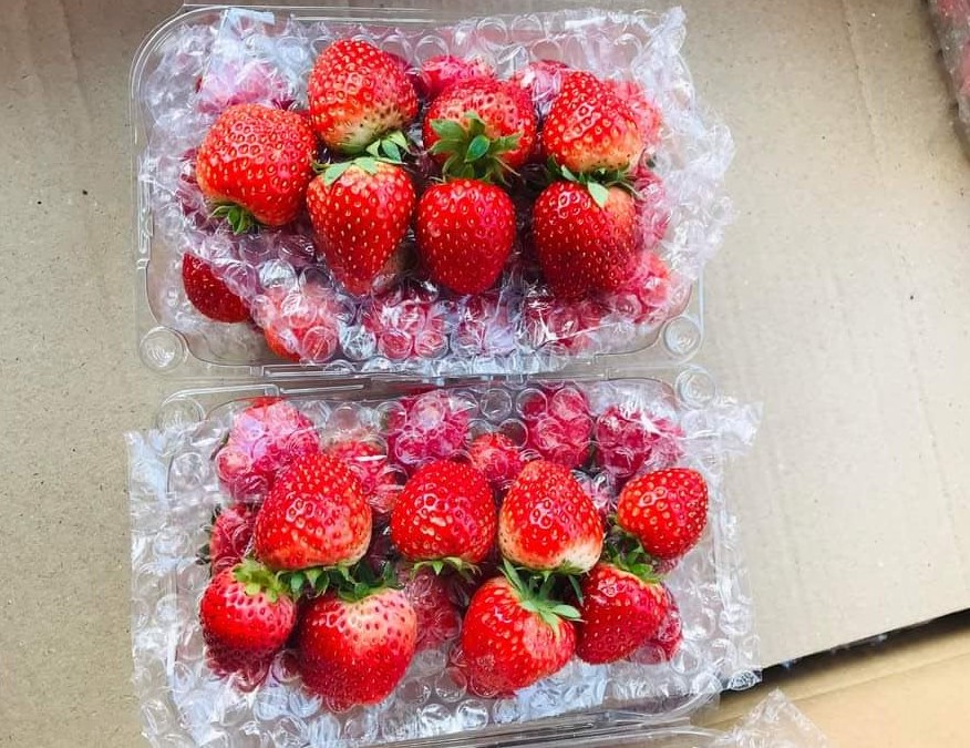 Dâu tây giá rẻ đổ bộ các chợ, chỉ từ 60.000 đồng/kg, dân buôn mỏi tay chốt đơn-2