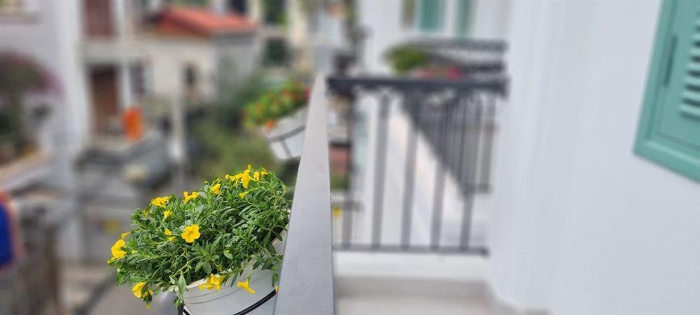 Choáng ngợp biệt phủ siêu to vừa hoàn thiện BTV đình đám VTV-11