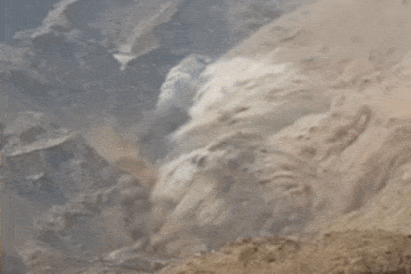 Người đàn ông đã chết 11 năm bất ngờ trở về, cả gia đình sửng sốt-3