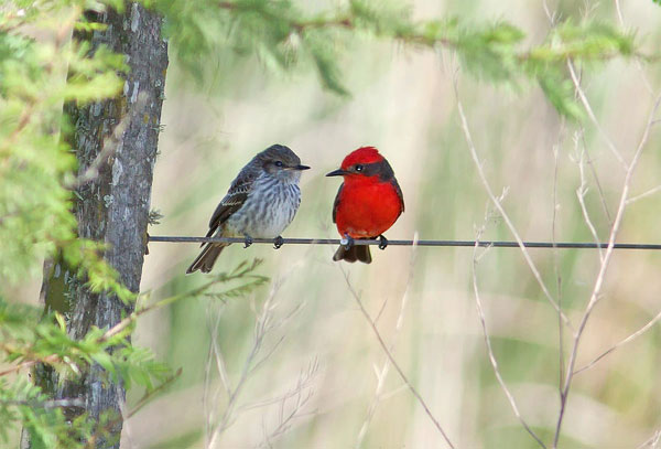 Ai sinh tháng Âm lịch này ít phiền muộn, nhiều tiếng cười, tính cách lạc quan, vận may vô số-1
