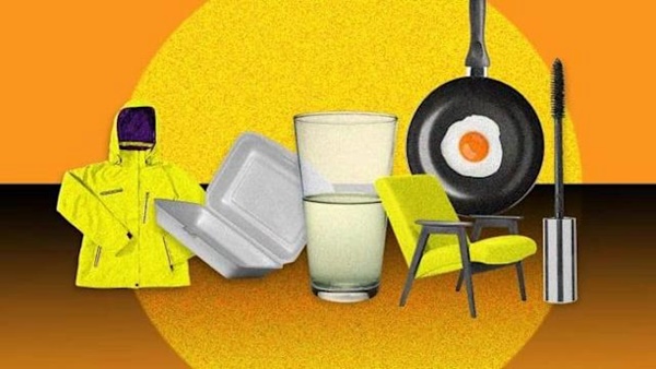 Hóa chất này có thể gây ung thư, tiểu đường ở trẻ em: Đáng lo ngại là chúng có mặt ở mọi nơi-4