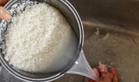 Tự chế nước béo tưới cho cây cảnh, bộ rễ nhân đôi, lá xanh, hoa thắm-2