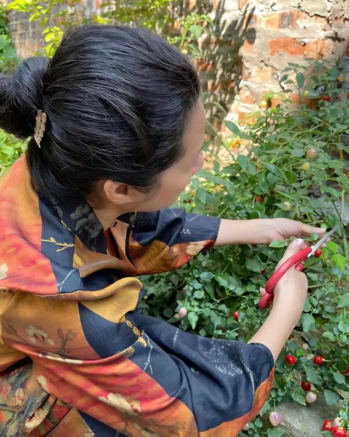 Nhà vườn hàng nghìn m2 ở Sóc Sơn của ca sĩ Thanh Thanh Hiền-12