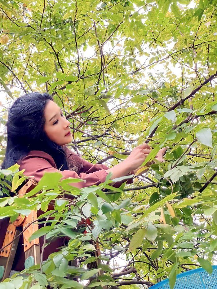 Nhà vườn hàng nghìn m2 ở Sóc Sơn của ca sĩ Thanh Thanh Hiền-20