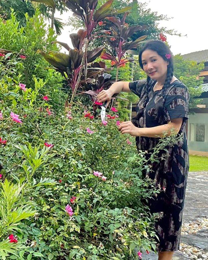 Nhà vườn hàng nghìn m2 ở Sóc Sơn của ca sĩ Thanh Thanh Hiền-10
