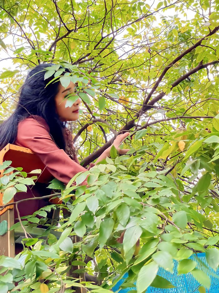 Nhà vườn hàng nghìn m2 ở Sóc Sơn của ca sĩ Thanh Thanh Hiền-21