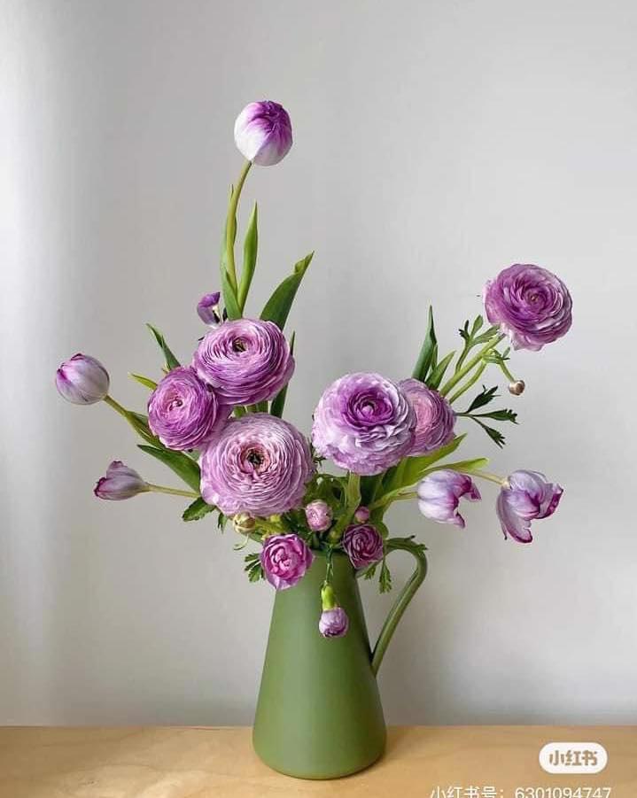 Tử vi hôm nay 25/2/2023 của 12 cung hoàng đạo-2