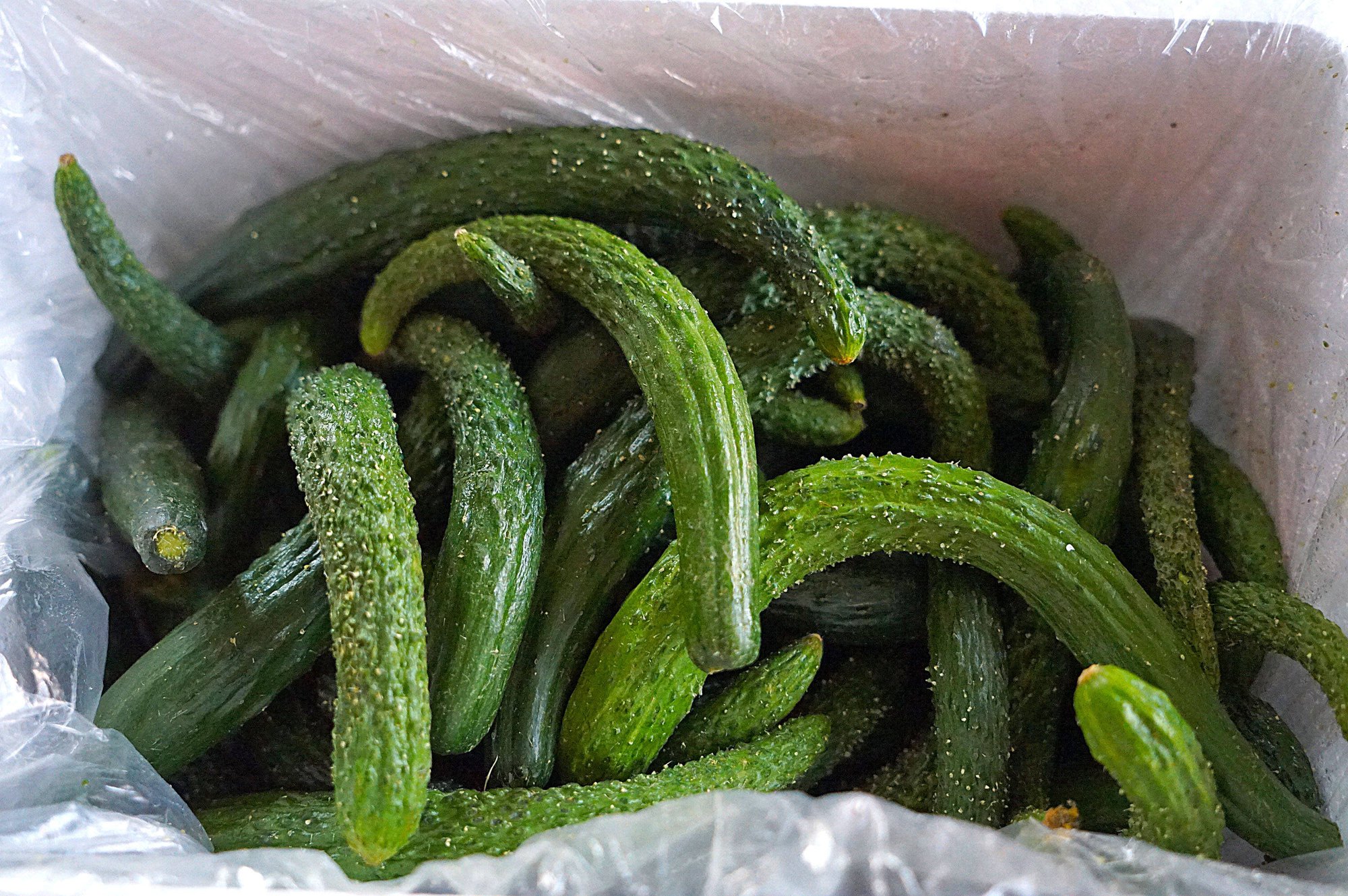 Dưa chuột muối: Chua cay ngon ngất ngây-2